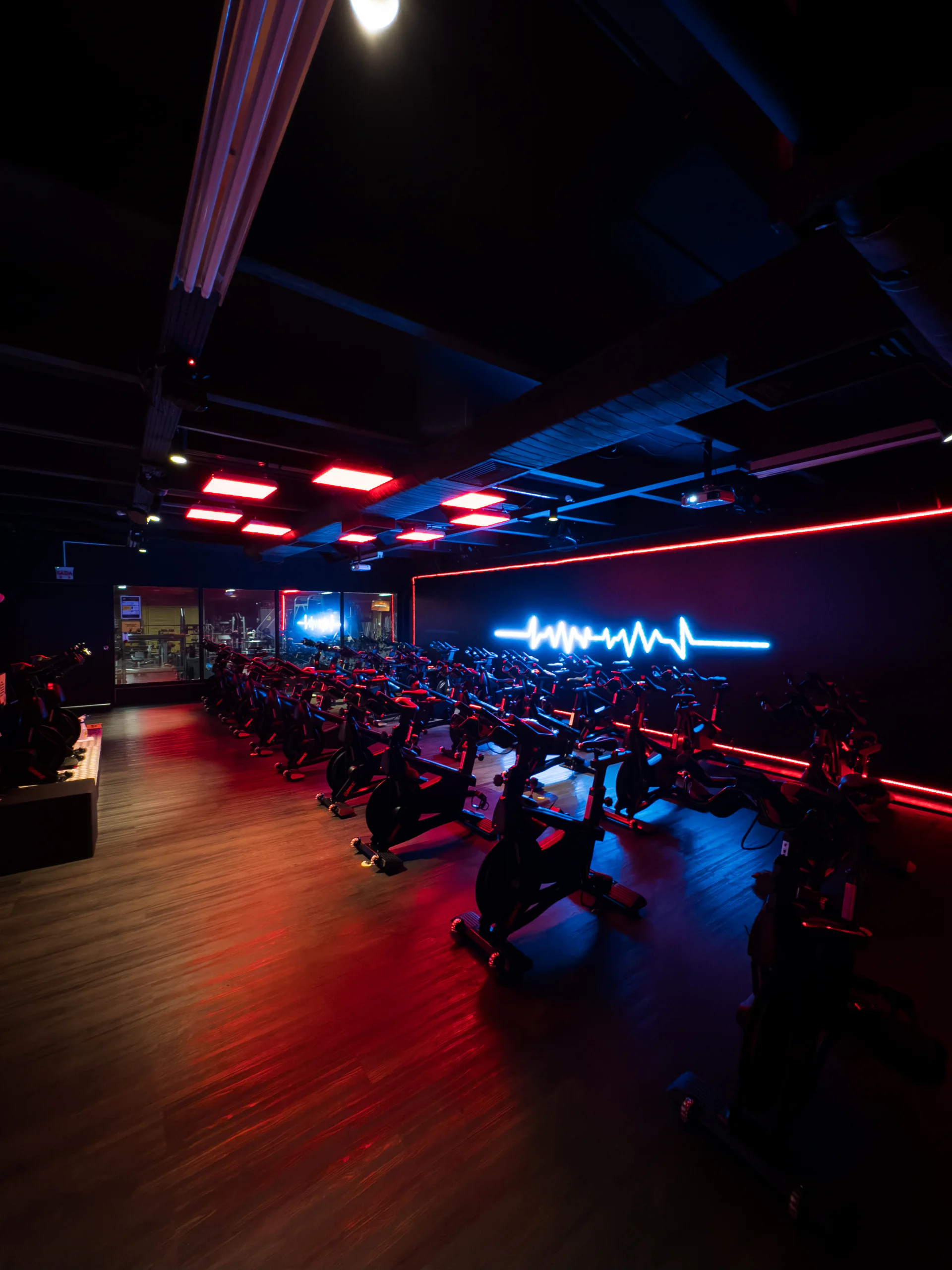 Cycle Studio da The Best, com fileiras de bicicletas Schwinn e linha luminosa no teto